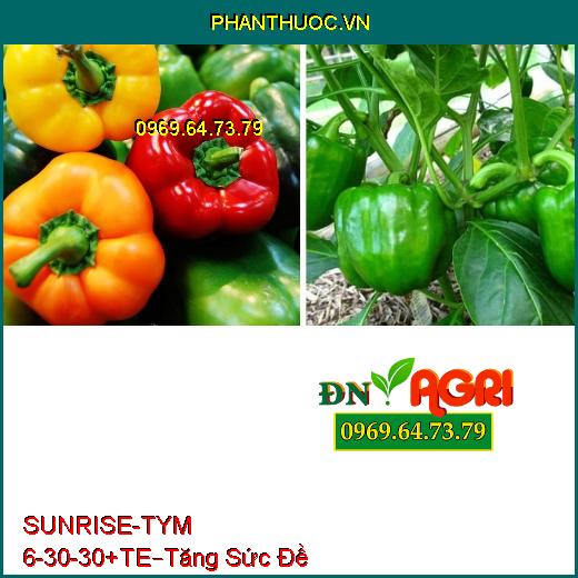 PHÂN BÓN NPK SUNRISE-TYM 6-30-30+TE –Tăng Sức Đề Kháng , Trái Lớn, Đẹp Màu