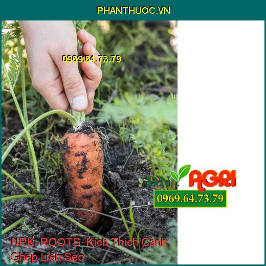 PHÂN BÓN HỖN HỢP NPK–ROOTS–Kích Thích Cành Ghép Liền Sẹo, Kích Thích Hạt Nảy Mầm