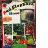 RED ELEPHANT MANCO – Diệt Trừ Nấm Bệnh, Đặc Trị Thán Thư, Thối Quả, Đốm Vòng