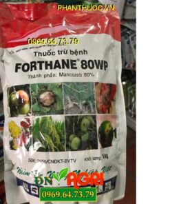 THUỐC TRỪ NẤM BỆNH FORTHANE 80WP – ĐẶC TRỊ BỆNH ĐẠO ÔN, THÁN THƯ HẠI CÂY