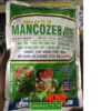 MANCOZEB 80WP XANH – Đặc Trị Thán Thư – Thối Nhũn – Ghẻ Sẹo