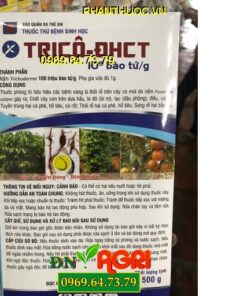 THUỐC TRỪ BÊNH SINH HỌC TRICÔ – ĐHCT ĐẶC TRỊ BỆNH VÀNG LÁ , THỐI RỄ DO NẤM