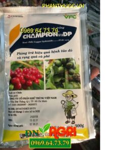 CHAMPION 57.6 DP – Phòng Trừ Hiệu Quả Bệnh Tảo Đỏ Và Rụng Quả