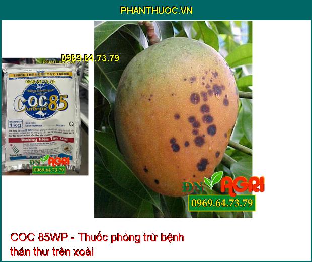 COC 85WP - Thuốc phòng trừ nấm bệnh