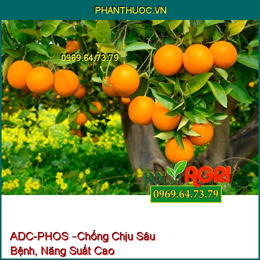 PHÂN BÓN LÁ PK BỔ SUNG VI LƯỢNG ADC-PHOS –Chống Chịu Sâu Bệnh, Năng Suất Cao