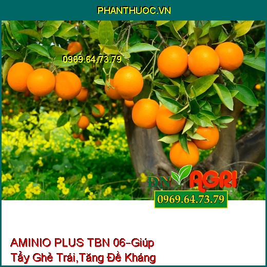 PHÂN BÓN VI LƯỢNG AMINIO PLUS TÂY BAN NHA 06 –Giúp Tẩy Ghẻ Trái, Tăng Đề Kháng