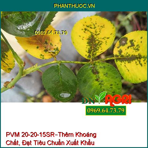 PHÂN BÓN LÁ CAO CẤP PVM 20-20-15SR –Thêm Khoáng Chất, Đạt Tiêu Chuẩn Xuất Khẩu