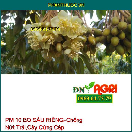 PHÂN BÓN LÁ PM 10 BO SẦU RIÊNG –Chống Nứt Trái, Cây Cứng Cáp, Hạt Chắc Khỏe