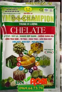 YMC 1 CHAMPION CHELATE- Xanh Lá, Dày Lá, Chống Rụng Hoa, Trái Non, To Trái