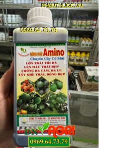 AMINO NÔNG PHÚ – Tẩy Ghẻ Trái – Trái Lớn Tối Đa – Lên Màu Cực Đẹp