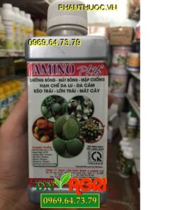 AMINO PLUS – Dưỡng Bông Mát Cây – Lớn Trái Mập Cuống – Bộ Lá Xanh