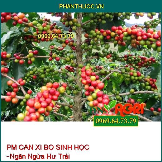 PHÂN BÓN LÁ PM CAN XI BO SINH HỌC –Ngăn Ngừa Hư Trái, Cứng Cây, Hạn Chế Sâu Bệnh