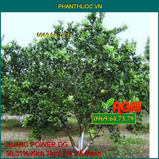 HUMIC POWER DG 98,31%- Phân Bón Hữu Cơ Kích Thích Ra Rễ Cực Mạnh