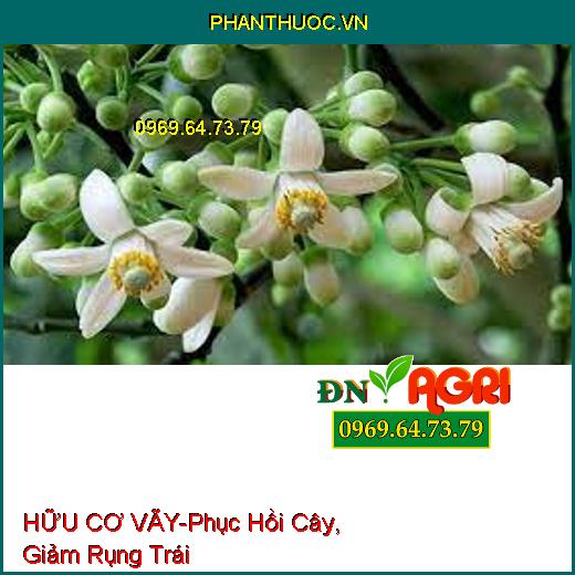 HỮU CƠ VÃY - Phục Hồi Cây, Giảm Rụng Trái, Giải Độc Hữu Cơ, Tăng Đậu Hoa