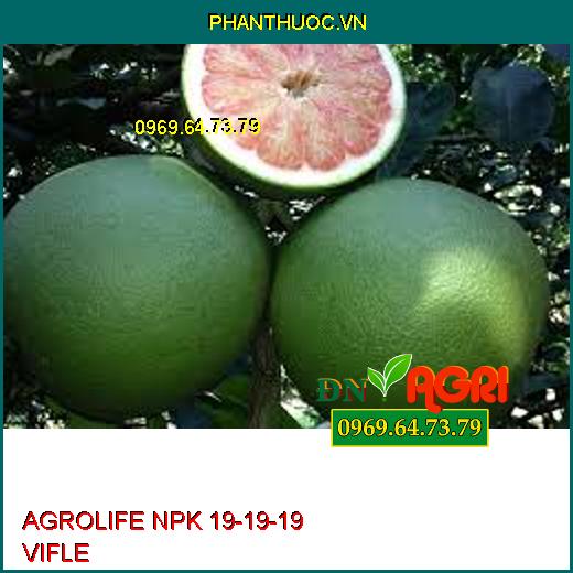 AGROLIFE NPK 19-19-19 VIFLE- Dưỡng Hoa, Nuôi Quả, Tăng Năng Xuất