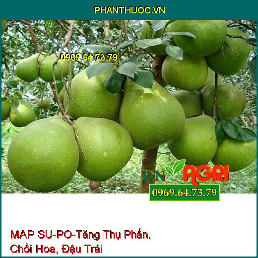 MAP SU-PO-Tăng Thụ Phấn, Chồi Hoa, Đậu Trái, Tăng Năng Suất Cho Cây Trồng