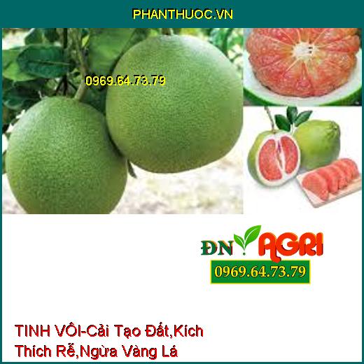 TINH VÔI-Nâng Cao PH Đất, Cải Tạo Đất, Kích Thích Rễ, Ngăn Ngừa Vàng Lá