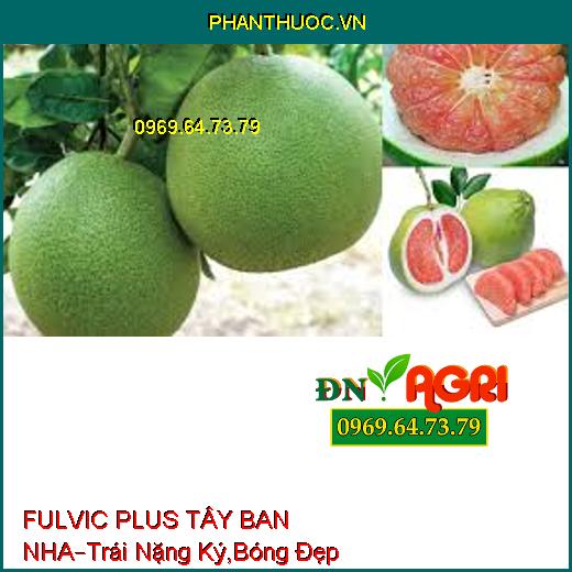 FULVIC PLUS TÂY BAN NHA –Hạn Chế Rong Rêu Trên Lá, Trái Nặng Ký, Bóng Đẹp