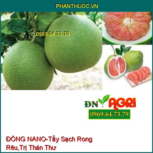 DUNG DỊCH ĐỒNG MAGIE ĐỒNG NANO-Tẩy Sạch Rong Rêu, Trị Thổi Ròng,Thán Thư