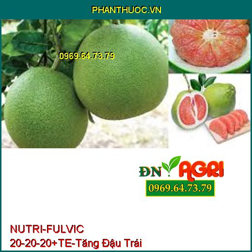 PHÂN BÓN HỖN HỢP NUTRI – FULVIC 20-20-20 + TE –Tăng Đậu Trái, Phục Hồi Cây