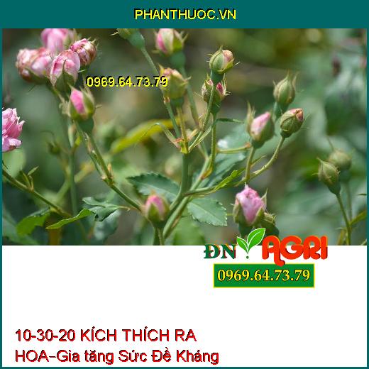 NPK CAO CẤP 10-30-20 KÍCH THÍCH RA HOA –Gia tăng Sức Đề Kháng, Chống Rụng Hoa, Trái