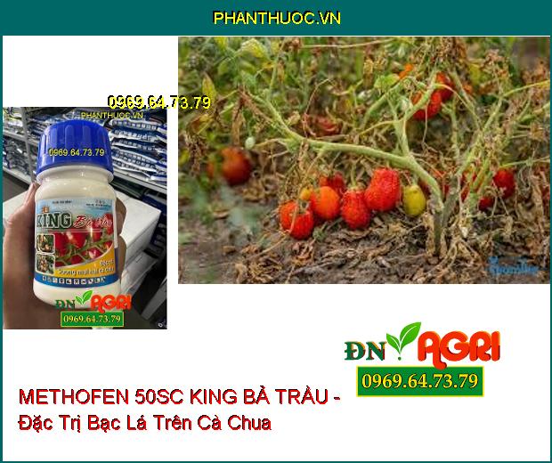 METHOFEN 50SC KING BẢ TRẦU - Đặc Trị Sương Mai , Bệnh Bạc Lá Trên Cà Chua