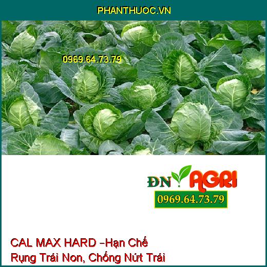 PHÂN BÓN LÁ TRUNG VI LƯỢNG CAL MAX HARD –Hạn Chế Rụng Trái Non, Chống Nứt Trái