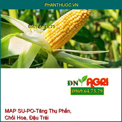 MAP SU-PO-Tăng Thụ Phấn, Chồi Hoa, Đậu Trái, Tăng Năng Suất Cho Cây Trồng