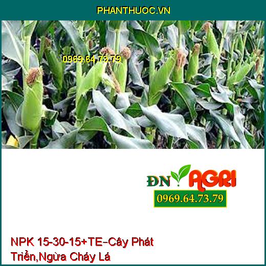 PHÂN BÓN LÁ NPK 15-30-15 +TE –Giúp Cây Phát Triển, Ngăn Ngừa Cháy Lá 