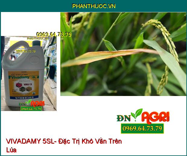 VIVADAMY 5SL- Đặc Trị Khô Vằn, Nấm Hồng Trên Cây Cao Su, Cà Phê