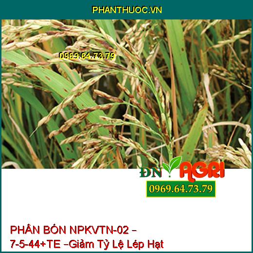 PHÂN BÓN NPKVTN-02 – 7-5-44+TE –Giảm Tỷ Lệ Lép Hạt, Giúp Cây Ra Hoa Nghịch Mùa