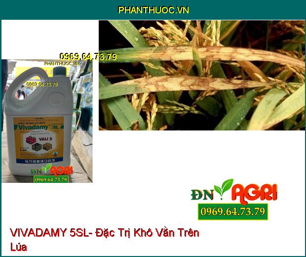 VIVADAMY 5SL- Đặc Trị Khô Vằn, Nấm Hồng Trên Cây Cao Su, Cà Phê