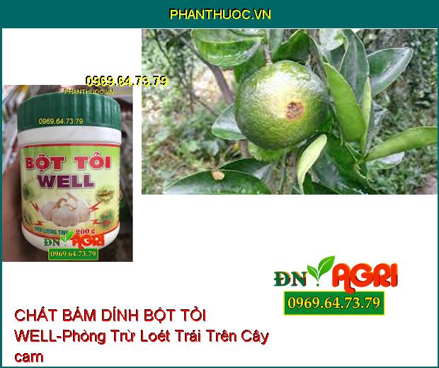 CHẤT BÁM DÍNH BỘT TỎI WELL –Phòng Ngừa Dịch Bệnh, Vệ Sinh Chuồng Trại