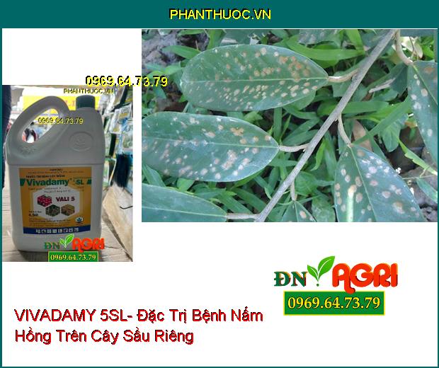 VIVADAMY 5SL- Đặc Trị Khô Vằn, Nấm Hồng Trên Cây Cao Su, Cà Phê