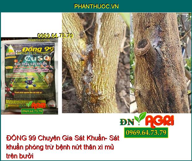 ĐỒNG 99 Chuyên Gia Sát Khuẩn- Phân Bón Dinh Dưỡng Cao Cấp Dùng Cho Mọi Loại Cây