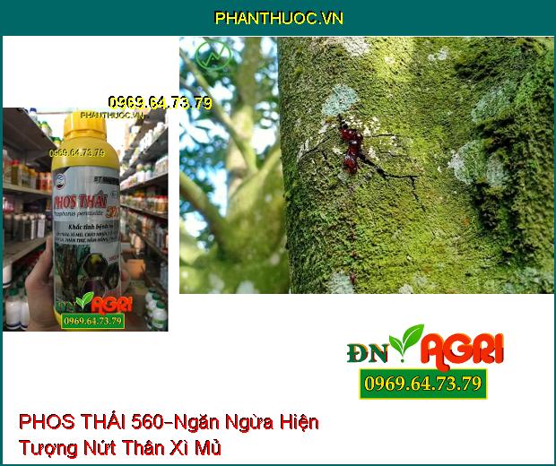 CHẾ PHẨM SINH HỌC–PHOS THÁI 560–Hồi Phục Cây Sau Khi Bị Ngộ Độc, Cứng Cây