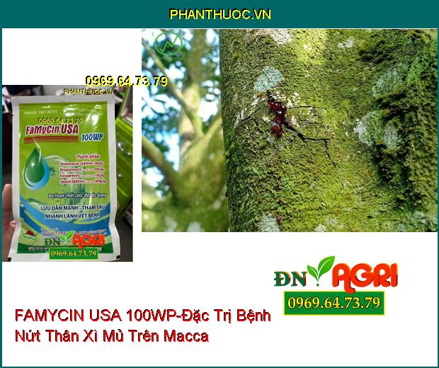 THUỐC TRỪ BỆNH FAMYCIN USA 100WP - Đặc Trị Bệnh Do Nấm Bệnh Vi Khuẩn Gây Ra