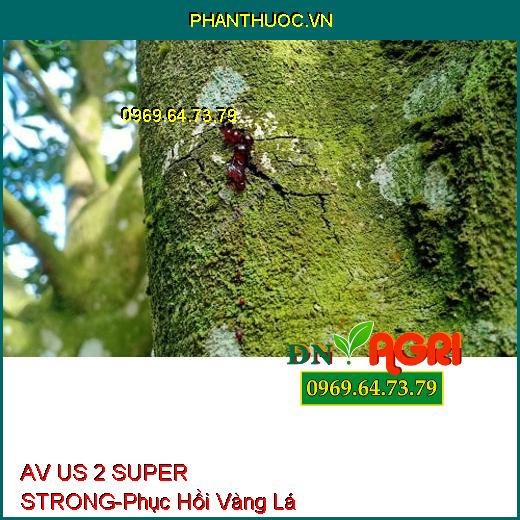 AV US 2 SUPER STRONG - Phục Hồi Vàng Lá, Kích Ra Hoa, Lớn Trái, Đẻ Nhánh