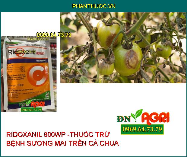 RIDOXANIL 800WP -THUỐC TRỪ BỆNH HẠI CÂY TRỒNG 100GR