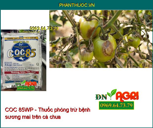 COC 85WP - Thuốc phòng trừ nấm bệnh