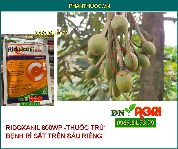 RIDOXANIL 800WP -THUỐC TRỪ BỆNH HẠI CÂY TRỒNG 100GR