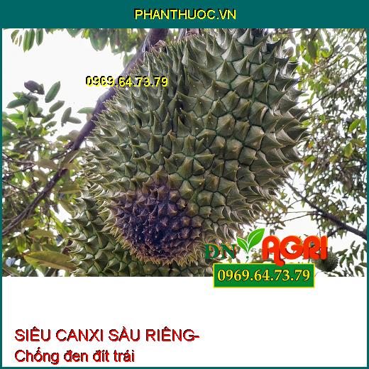 SIÊU CANXI SẦU RIÊNG- Chống Thối Trái, Xì Mủ, Chảy Nhựa, Đen Đít