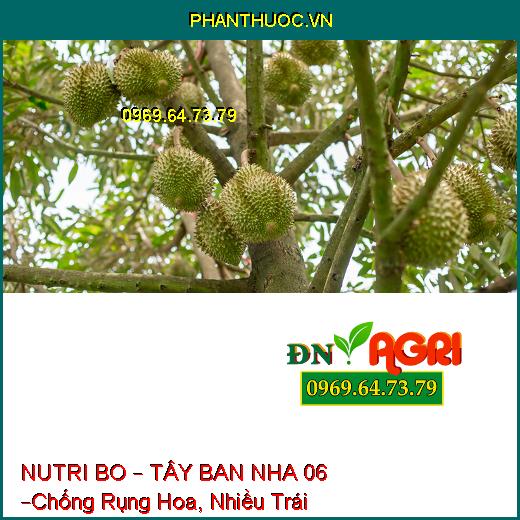 NUTRI BO – TÂY BAN NHA 06 –Chống Rụng Hoa, Trái Non, Mập Bông, Trái Lớn