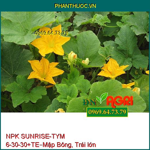 PHÂN BÓN NPK SUNRISE-TYM 6-30-30+TE – Tăng Sức Đề Kháng, Mập Bông, Trái lớn