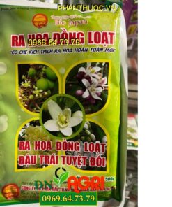 BIO JAPAN RA HOA ĐỒNG LOẠT- Kích Ra Hoa Đồng Loạt, Đậu Trái Cao