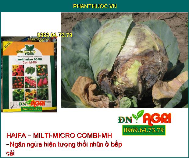 PHÂN BÓN VI LƯỢNG HAIFA – MILTI-MICRO COMBI-MH –Ngăn Ngừa Cháy Lá Sớm, Rụng Hoa