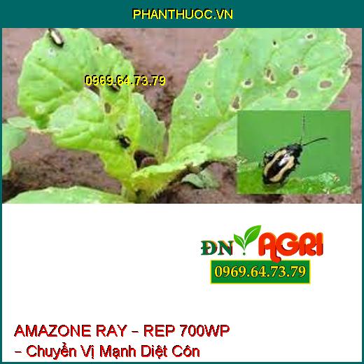 AMAZONE RAY – REP 700WP – Chuyển Vị Mạnh Diệt Côn Trùng