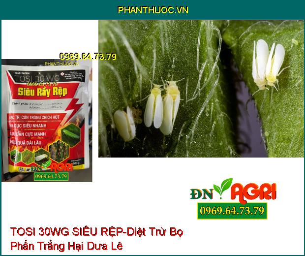 THUỐC TRỪ SÂU TOSI 30WG SIÊU RỆP- Diệt Bọ, Siêu Rầy Rệp, Côn Trùng Chích Hút