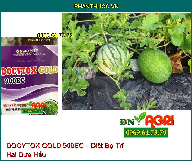 CHẾ PHẨM DIỆT CÔN TRÙNG DOCYTOX GOLD 900EC – Diệt Côn Trùng Chết Nhanh