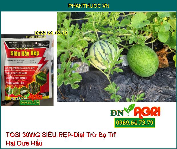 THUỐC TRỪ SÂU TOSI 30WG SIÊU RỆP- Diệt Bọ, Siêu Rầy Rệp, Côn Trùng Chích Hút